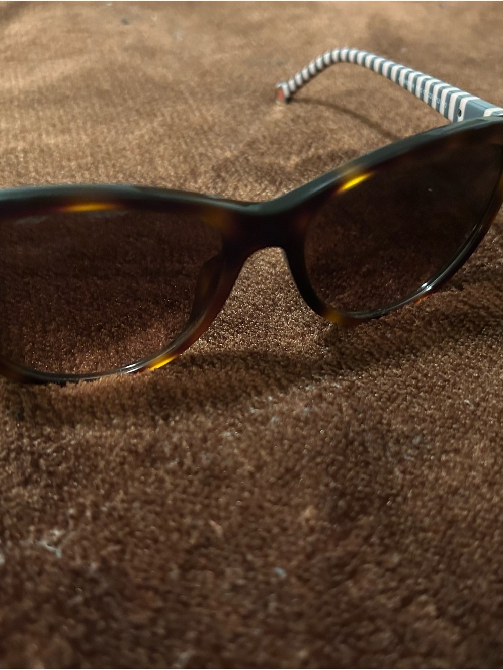 Carolina Herrera Tortoiseshell Sunglasses with Striped Temples